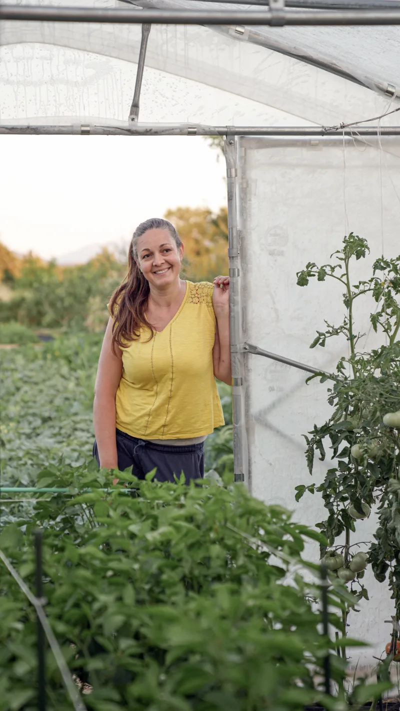Ivana in the Mrvica greenhouse, tomatoes climbing on both sides