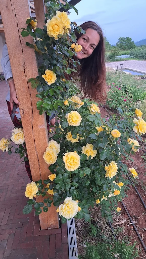 Ivana smiling among yellow climbing roses on the Mrvica pergola